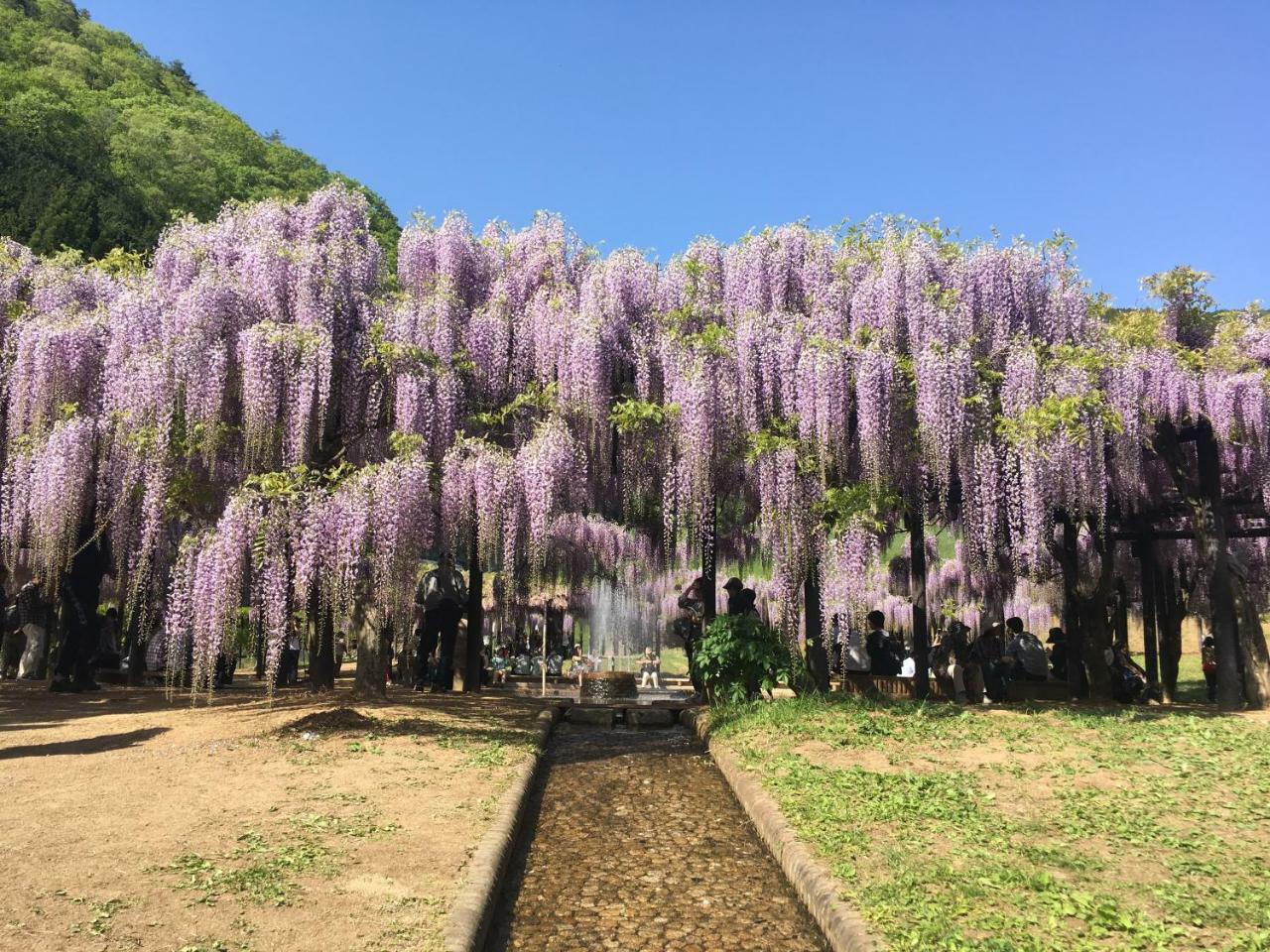 Gunkakutei Asago Exterior foto